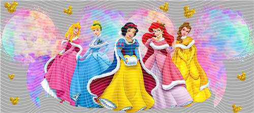 16oz Disney-D 2843
